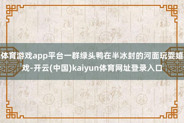 体育游戏app平台一群绿头鸭在半冰封的河面玩耍嬉戏-开云(中国)kaiyun体育网址登录入口