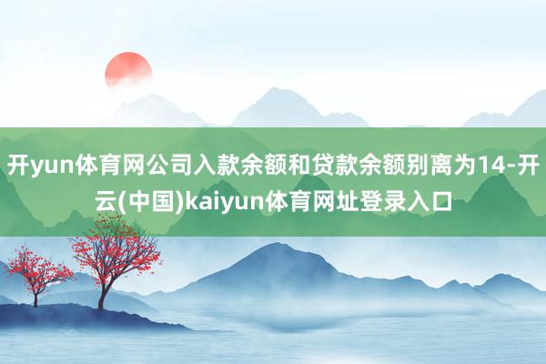 开yun体育网公司入款余额和贷款余额别离为14-开云(中国)kaiyun体育网址登录入口